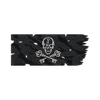 Davy Jones Pirate Flag