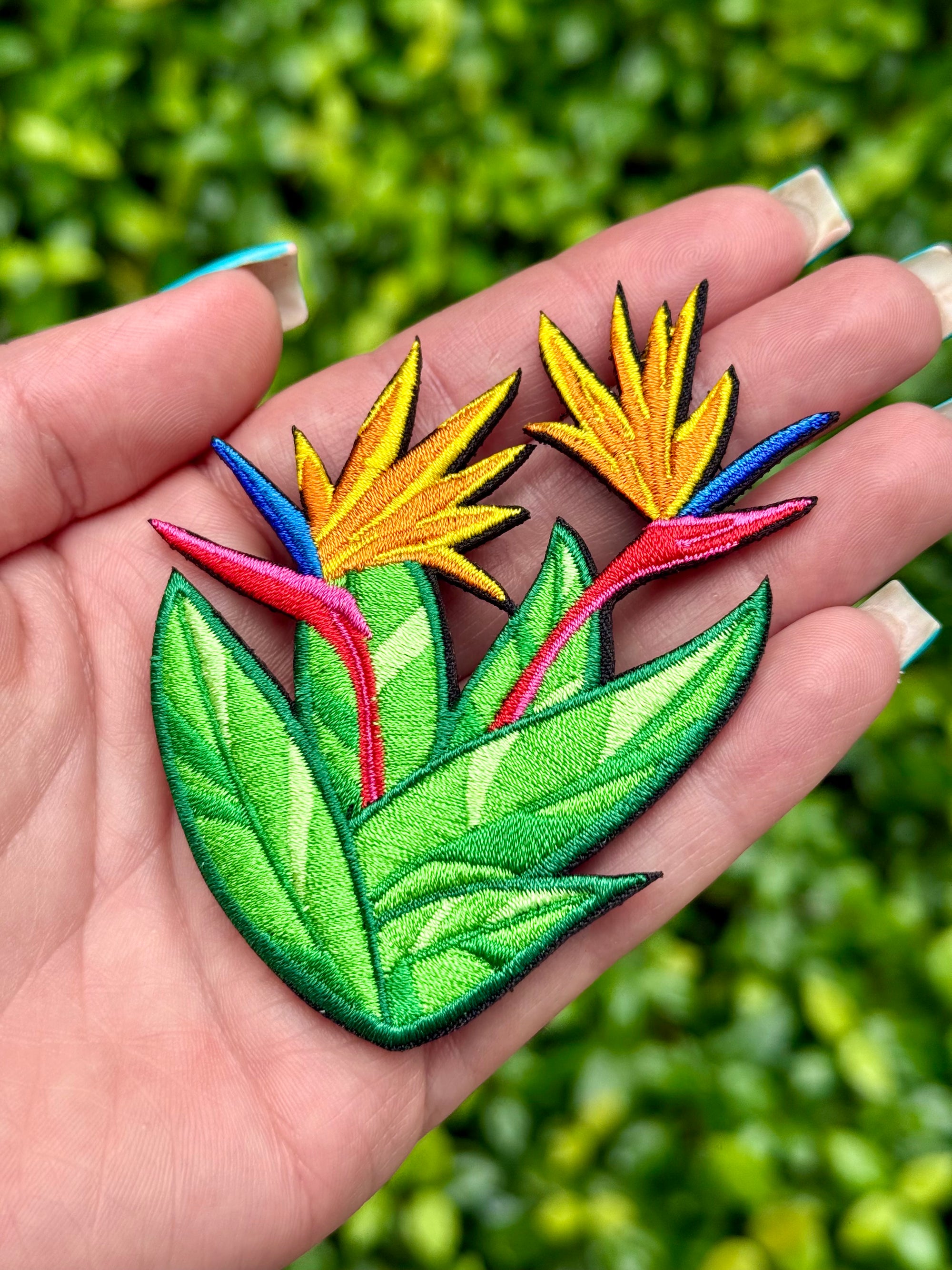 Plant Patches 🌿