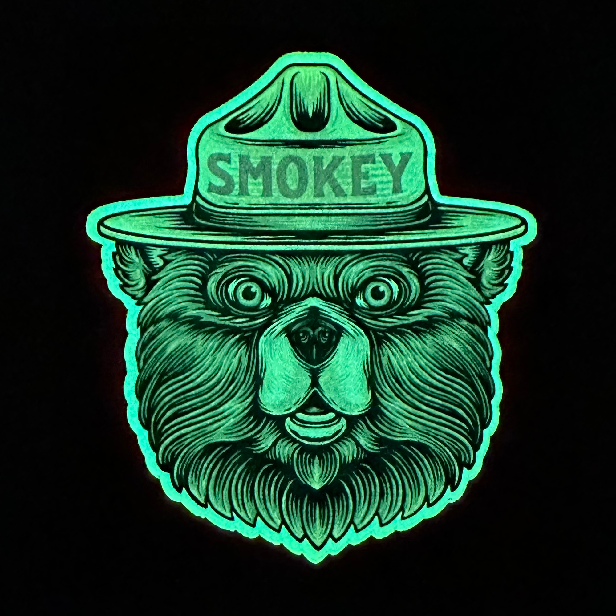 Smokey Bear Patches 🐻