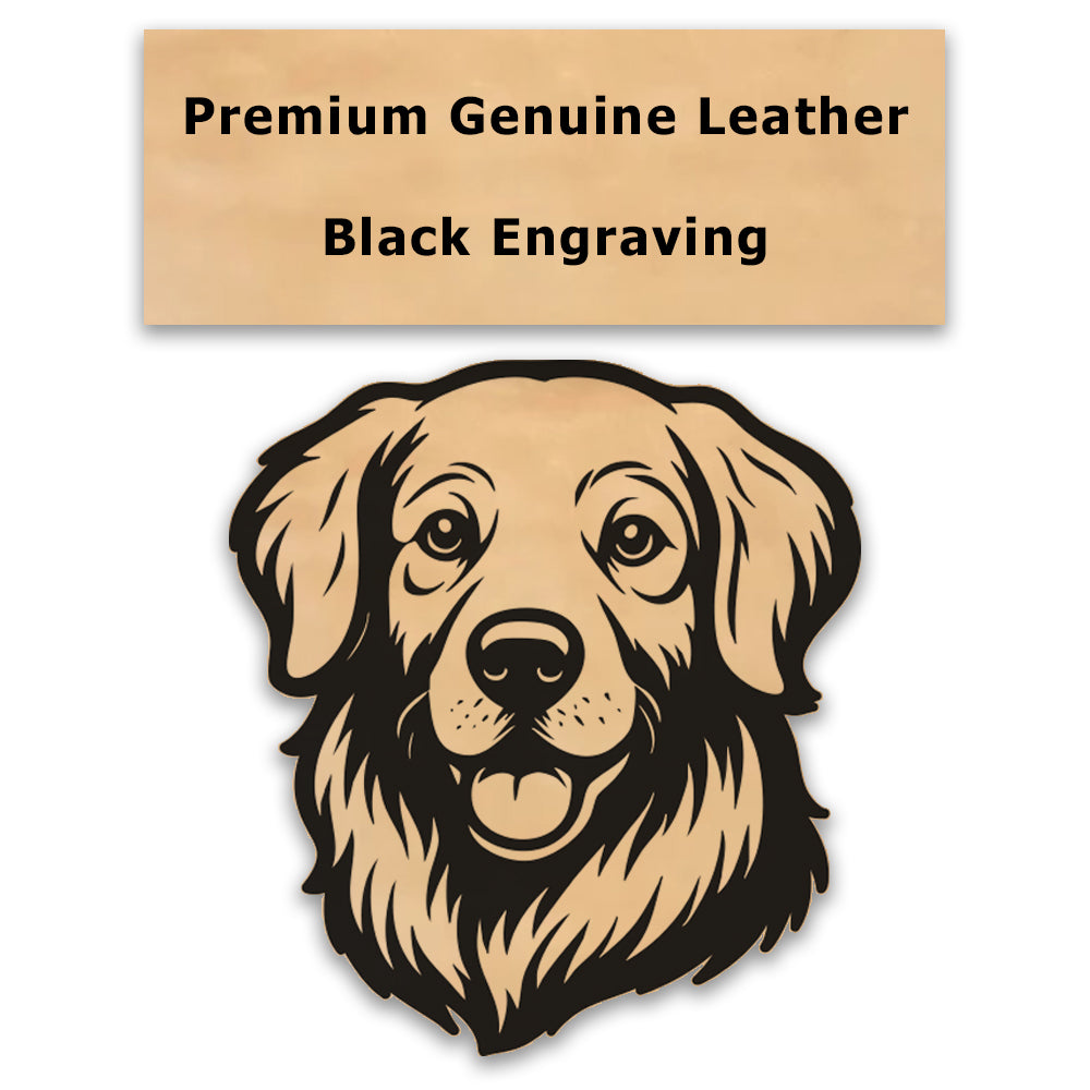 The Paw Files Patches 🐾