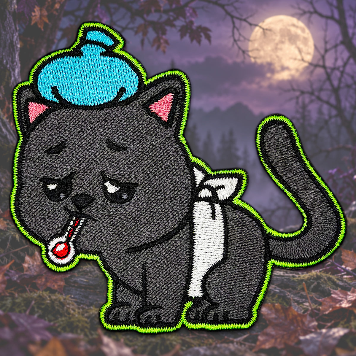 Sick Black Cat 🐈‍⬛