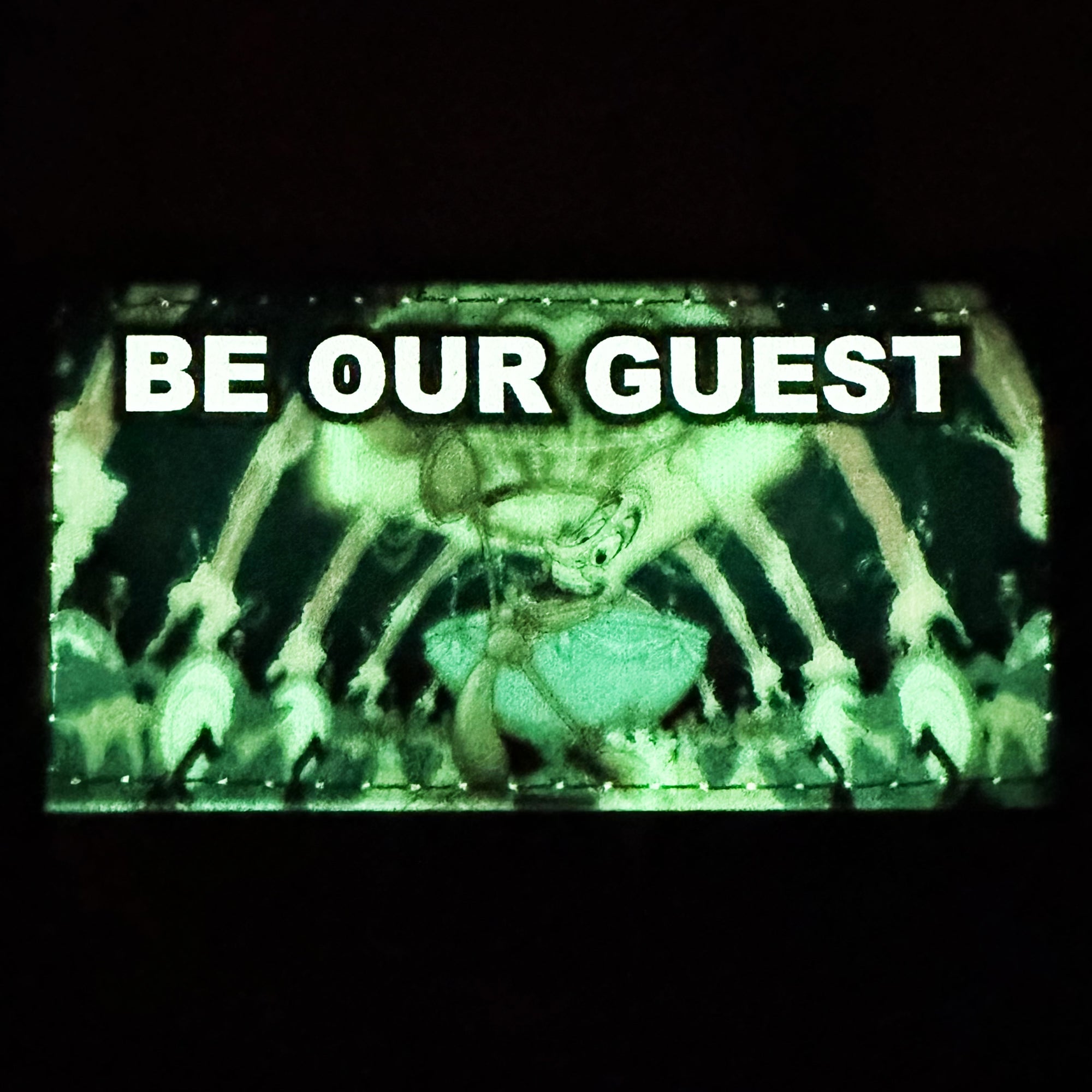 Guest Laser Cut🍽️